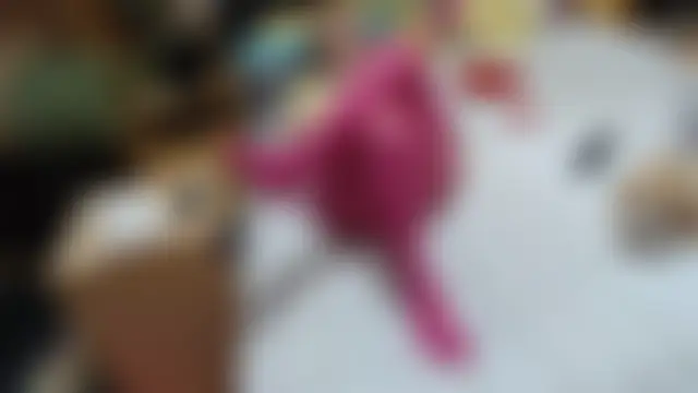 Dorina 网络视讯表演