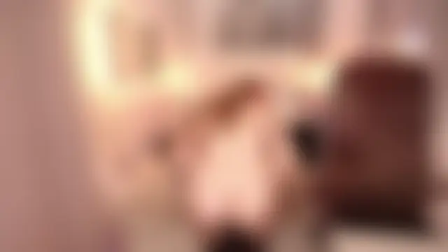 NicoleMilessのライブXXXチャット