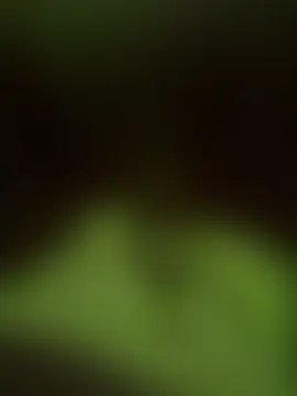 Czat XXX na żywo – Jaksch86