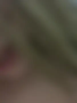 Show de webcam de novinhasapequinha