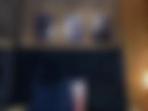 Lancelot_Benwick 웹캠 쇼