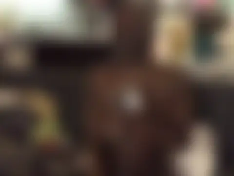 littyleesh1 ওয়েবক্যাম শো