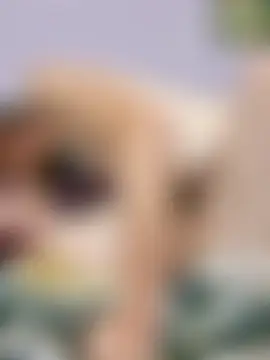 Phòng Chat Trực Tiếp bam420bam