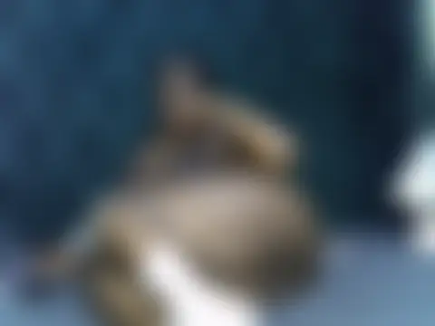 pocupinesn Live XXX chat