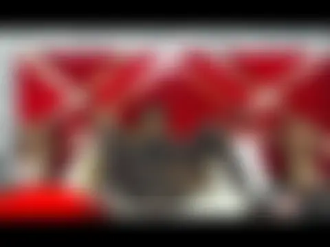 Вебкам-шоу SusanMendoza