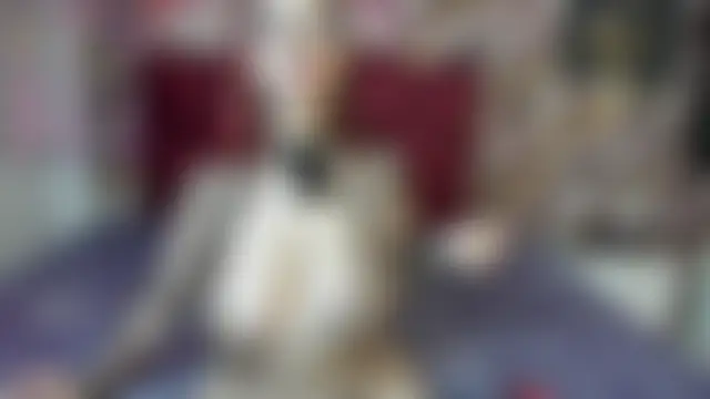 Meganmeyer Webcamshow