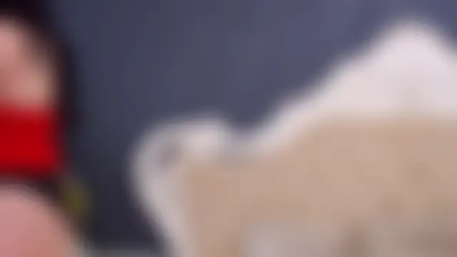 Chat +18 de Lauren_Saint ao vivo