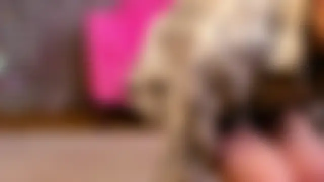 Nayeomy ওয়েবক্যাম শো