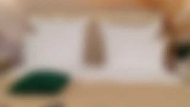 Pertunjukan Kamera Web AlissaMilee