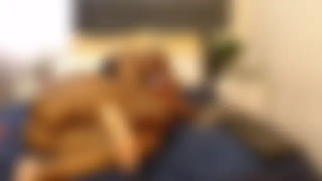 BUBBLEBUTT-CHICK's Live XXX Chat