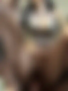 Nikatsu 在線直播表演