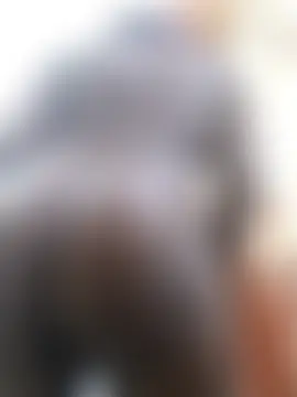 chocolate-puss – Kamerová šou