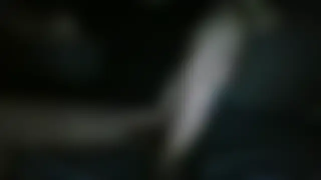 عرض كام chichoplus