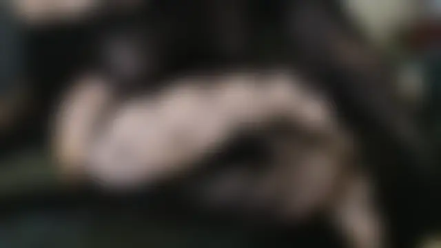 SihirliSofiya Webcam-Show