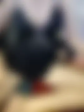 Haralushiaaa Webcam show