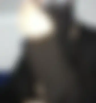 عرض كام Sexy__Arab