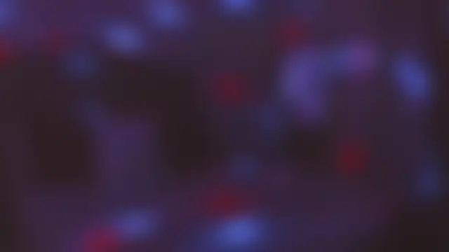 yiauana 即時 XXX 聊天