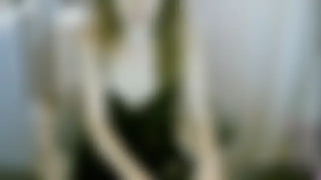 mari3999 即時 XXX 聊天