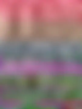 Webkamerová show Paayal_0