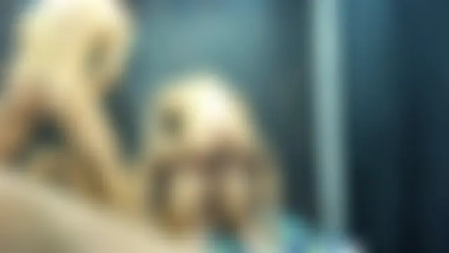 4SexFantastic: διαδικτυακό σόου στην κάμερα