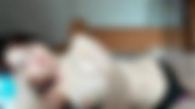 Show de webcam de EvonDales