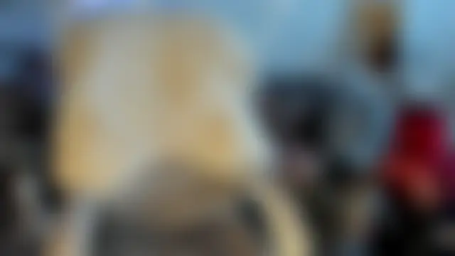 Chatroom en direct de AngelWild007