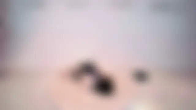 Chat XXX en directo de NEW-DAY