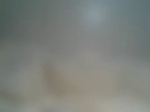 Mirrorprincess' Live Chat Room