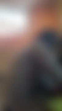 rposhta1991 élő XXX-chatje