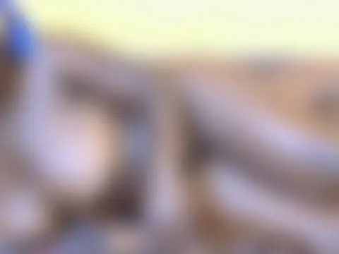 غرفة دردشة Quueenafrica المباشرة