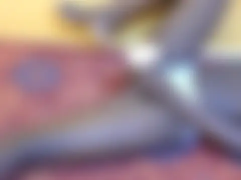 غرفة دردشة taruvy المباشرة