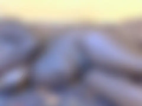 Pokój czatu na żywo – Quueenafrica