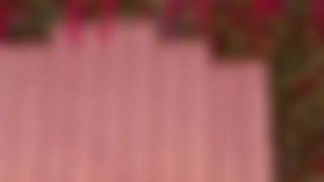 MiaJanss 现场聊天室