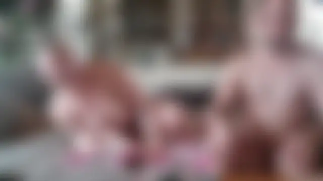 _Becca_und_Nimmersatt_ Pertunjukan Webcam