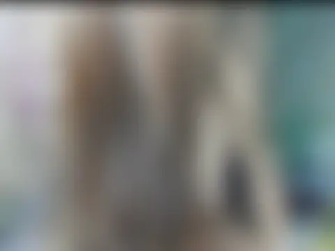 Show Webcam de manilafoxts