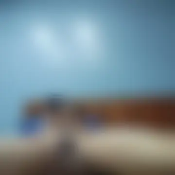 sanayabose7 webcam show