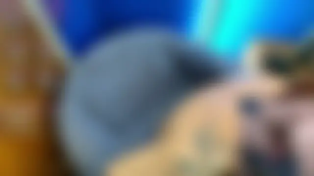 HouseOfHans webkamerás műsora