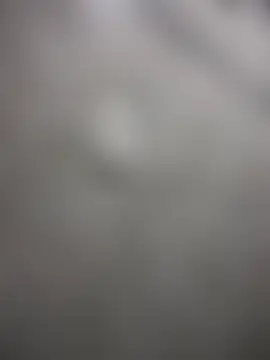 عرض كام NovaFoxx