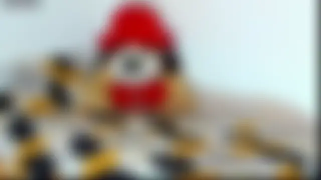 Show Webcam de Teo_Rave