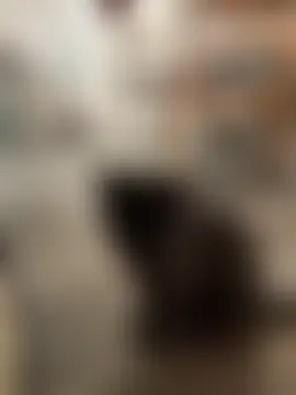 rileylovesyou Cameră chat live