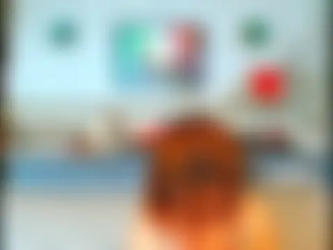 Show webcam de Natali3855