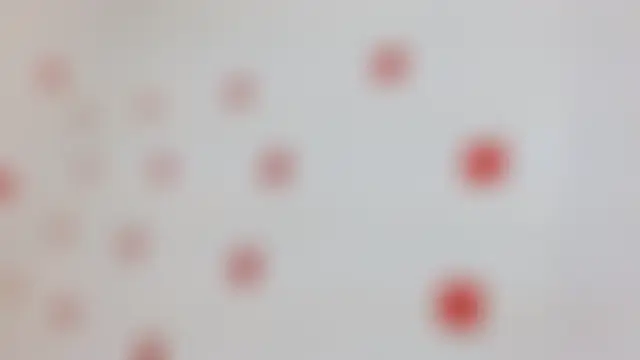 Pertunjukan Kamera Web KINKYDONAXXXX