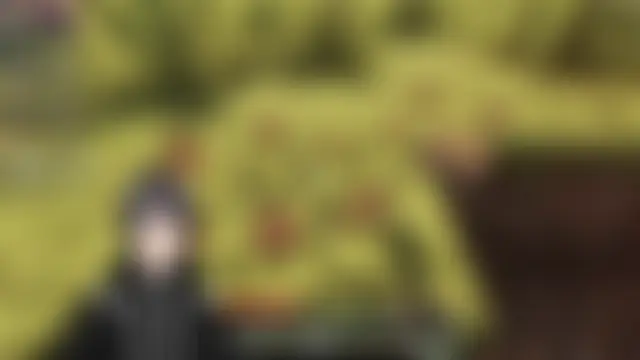 Show Webcam de Pui-Ch