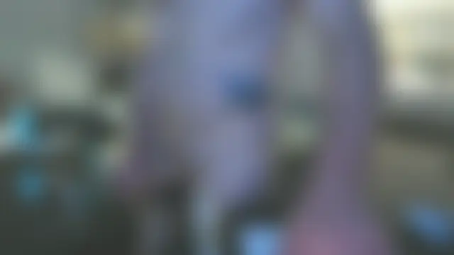 NWBuilt's Webcam Show