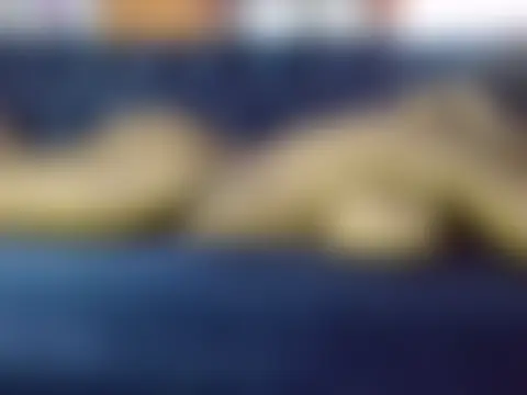 Sexxy_bre Chat XXX in diretta