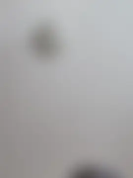 Show de cámara de sexo en directo de Hans04051972