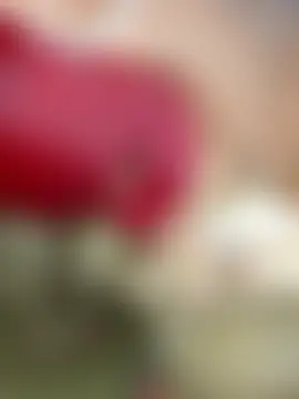 milissa0 ওয়েবক্যাম শো