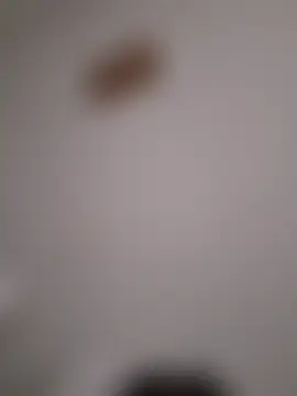 Webkamerová show vivian3