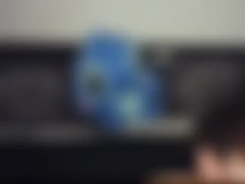 SoftEdgeBoyのウェブカメラショー