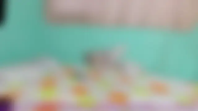 sweetxxbigのウェブカメラショー